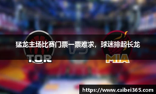 猛龙主场比赛门票一票难求，球迷排起长龙