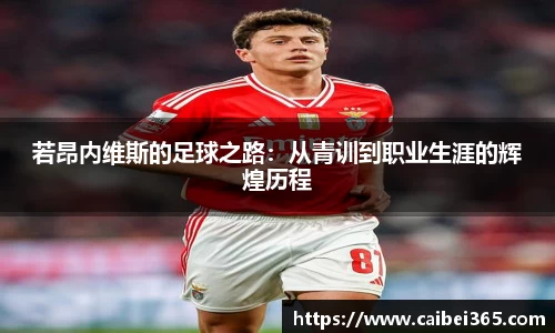 乐竞体育官网