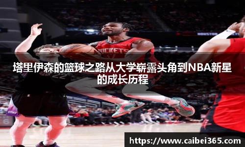 乐竞体育网址