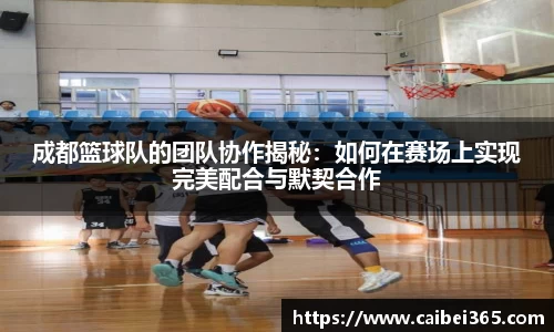 成都篮球队的团队协作揭秘：如何在赛场上实现完美配合与默契合作